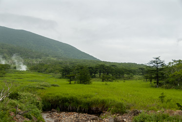 У подножья вулкана Баранского. остров Итуруп. View from Baransky volcano. Iturup Island. (Сахалин. Sakhalin. (marka) - marka