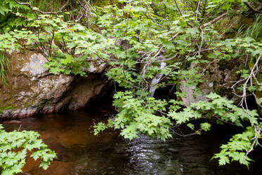 Ручей на склоне вулкана Баранского. остров Итуруп. A stream on the slope of the Baransky volcano. Iturup Island. (Сахалин. Sakhalin. (marka) - marka