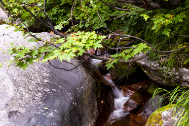 Ручей на склоне вулкана Баранского. остров Итуруп. A stream on the slope of the Baransky volcano. Iturup Island. (Сахалин. Sakhalin. (marka) - marka