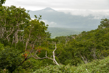 Вид с вулкана Баранского. остров Итуруп. View from Baransky volcano. Iturup Island. (Сахалин. Sakhalin. (marka) - marka