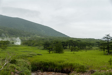 У подножья вулкана Баранского. остров Итуруп. View from Baransky volcano. Iturup Island. (Сахалин. Sakhalin. (marka) - marka