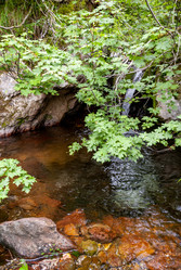 Ручей на склоне вулкана Баранского. остров Итуруп. A stream on the slope of the Baransky volcano. Iturup Island. (Сахалин. Sakhalin. (marka) - marka