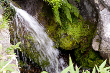 Ручей на склоне вулкана Баранского. остров Итуруп. A stream on the slope of the Baransky volcano. Iturup Island. (Сахалин. Sakhalin. (marka) - marka