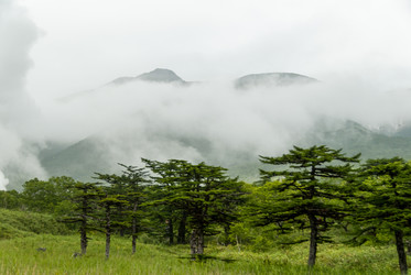 У подножья вулкана Баранского. остров Итуруп. View from Baransky volcano. Iturup Island. (Сахалин. Sakhalin. (marka) - marka
