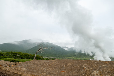 У подножья вулкана Баранского. остров Итуруп. View from Baransky volcano. Iturup Island. (Сахалин. Sakhalin. (marka) - marka