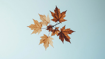 Muted Autumn Leaf Bouquet on Pastel Blue – Soft Fall Still Life for Cozy Wall Art or Seasonal Home Decor - Kulkann75