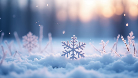 First Winter Snow Covering Ground – Soft White Snowdrifts for Christmas Photography or Cold Atmosphere Visuals - Kulkann75