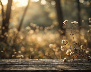 Soft Green and Yellow Bokeh from Rural Field – Dreamy Summer Nature Texture for Boho Deco - Kulkann75
