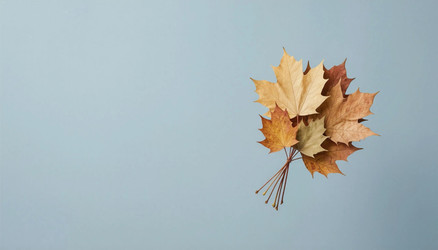 Dried Autumn Leaves in Soft Blue Light – Minimalist Fall Arrangement for Branding, Card Design or Editorial Moodboards - Kulkann75