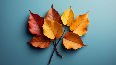 Golden and Amber Leaf Texture Over Soft Blue – Warm Autumn Composition for Thanksgiving Posters, Nature-Inspired Branding or Moodboard Collage - Kulkann75