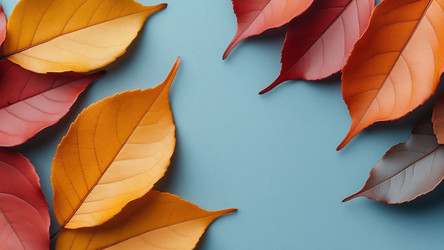 Fall Foliage on Cool Blue Backdrop – Vibrant Red and Orange Leaves with Copy Space for Text Overlay, Posters or Wall Art Prints - Kulkann75