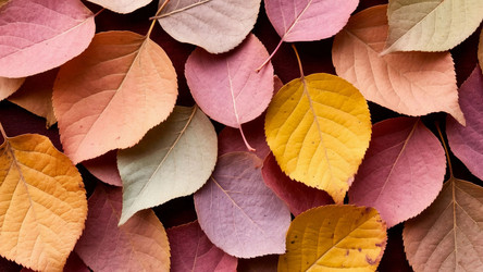 Seamless Autumn Leaves Pattern Background – Warm Orange and Red Foliage Texture for Wallpaper, Packaging or Fall-Themed Textile Design - Kulkann75