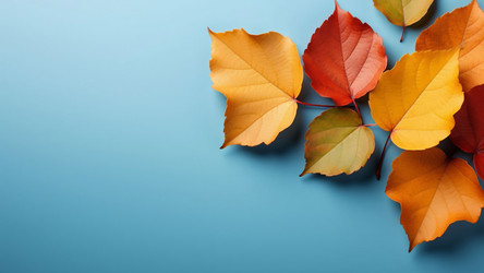 Golden and Amber Leaf Texture Over Soft Blue – Warm Autumn Composition for Thanksgiving Posters, Nature-Inspired Branding or Moodboard Collage - Kulkann75