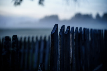 Лето в чувствах - Senseyi