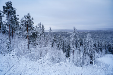 Онега, зима - 3 - Senseyi