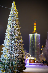 Архангельск, новый год - 3 - Senseyi