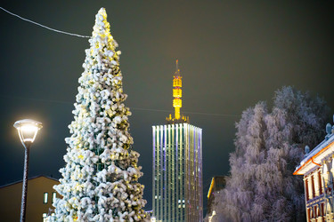 Архангельск, новый год - 2 - Senseyi