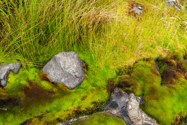 Кипящая река у подножья вулкана Баранского. о. Итуруп. A boiling river at the foot of the Baransky volcano. Iturup Island. (Сахалин. Sakhalin. (marka) - marka
