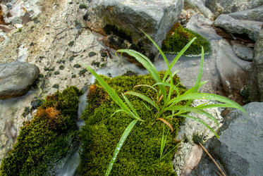Кипящая река у подножья вулкана Баранского. о. Итуруп. A boiling river at the foot of the Baransky volcano. Iturup Island. (Сахалин. Sakhalin. (marka) - marka