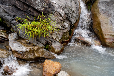 Кипящая река у подножья вулкана Баранского. о. Итуруп. A boiling river at the foot of the Baransky volcano. Iturup Island. (Сахалин. Sakhalin. (marka) - marka