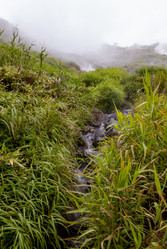 Кипящая река у подножья вулкана Баранского. о. Итуруп. A boiling river at the foot of the Baransky volcano. Iturup Island. (Сахалин. Sakhalin. (marka) - marka