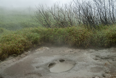 Фумаролы у подножья вулкана Баранского. о. Итуруп. Fumaroles at the foot of the Baransky volcano. Iturup Island. (Сахалин. Sakhalin. (marka) - marka