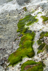 Кипящая река у подножья вулкана Баранского. о. Итуруп. A boiling river at the foot of the Baransky volcano. Iturup Island. (Сахалин. Sakhalin. (marka) - marka