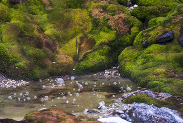 Кипящая река у подножья вулкана Баранского. о. Итуруп. A boiling river at the foot of the Baransky volcano. Iturup Island. (Сахалин. Sakhalin. (marka) - marka