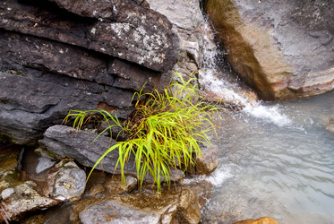 Кипящая река у подножья вулкана Баранского. о. Итуруп. A boiling river at the foot of the Baransky volcano. Iturup Island. (Сахалин. Sakhalin. (marka) - marka