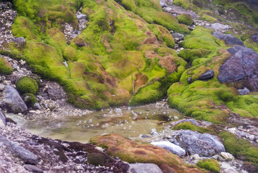 Фумаролы у подножья вулкана Баранского. о. Итуруп. Fumaroles at the foot of the Baransky volcano. Iturup Island. (Сахалин. Sakhalin. (marka) - marka
