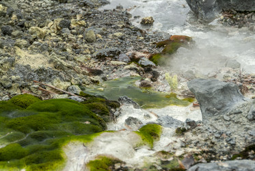 Кипящая река у подножья вулкана Баранского. о. Итуруп. A boiling river at the foot of the Baransky volcano. Iturup Island. (Сахалин. Sakhalin. (marka) - marka