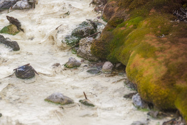 Кипящая река у подножья вулкана Баранского. о. Итуруп. A boiling river at the foot of the Baransky volcano. Iturup Island. (Сахалин. Sakhalin. (marka) - marka