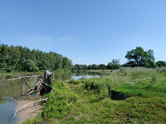 Лето река - 28photoNIK102RUS