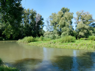 Лето река - 28photoNIK102RUS