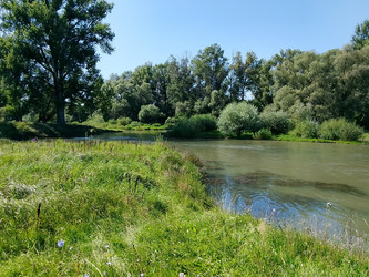 Лето река - 28photoNIK102RUS