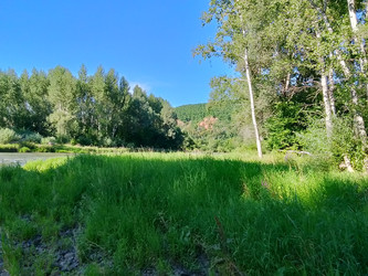 Лето река - 28photoNIK102RUS