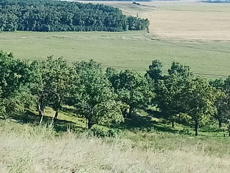 Лето река - 28photoNIK102RUS