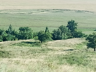 Лето река - 28photoNIK102RUS