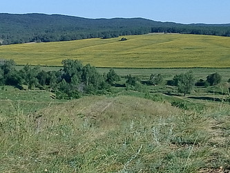 Лето река - 28photoNIK102RUS