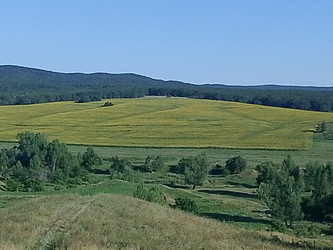Лето река - 28photoNIK102RUS