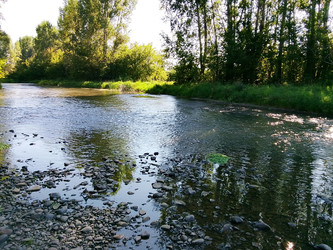Лето река - 28photoNIK102RUS