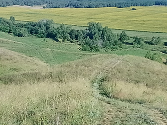 Лето река - 28photoNIK102RUS