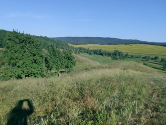 Лето река - 28photoNIK102RUS