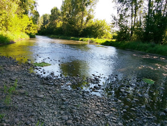 Лето на природе - 28photoNIK102RUS