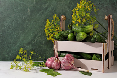 Огурцы в корзинке с укропом, чесноком и листьями для засолки на кухонном столе. Концепция урожая. Рецепт домашних солений. Огурцы и ингредиенты для солений. Концепция домашнего консервирования - svetlanabalyn