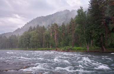 Утром открывается вид на воды реки Алтай Чемаль и горы, а на противоположном берегу раскинулся сосновый лес - Serg Zastavkin