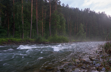 Утром открывается вид на воды реки Алтай Чемаль и горы, а на противоположном берегу раскинулся сосновый лес - Serg Zastavkin