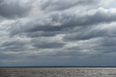 Вода - PhotoStudent