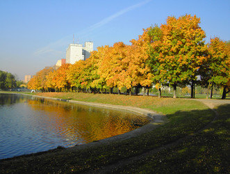 Осень в городском парке - ru3apr