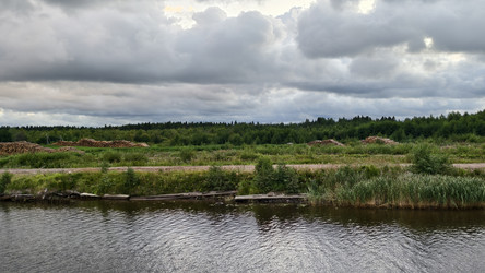 Лес - PhotoStudent